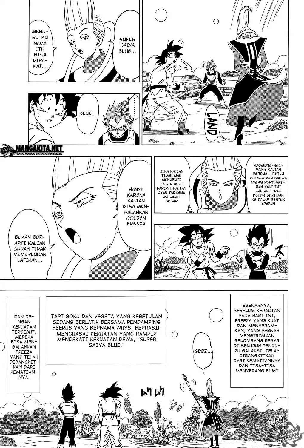 Dragon Ball Super Chapter 5 - halaman 13