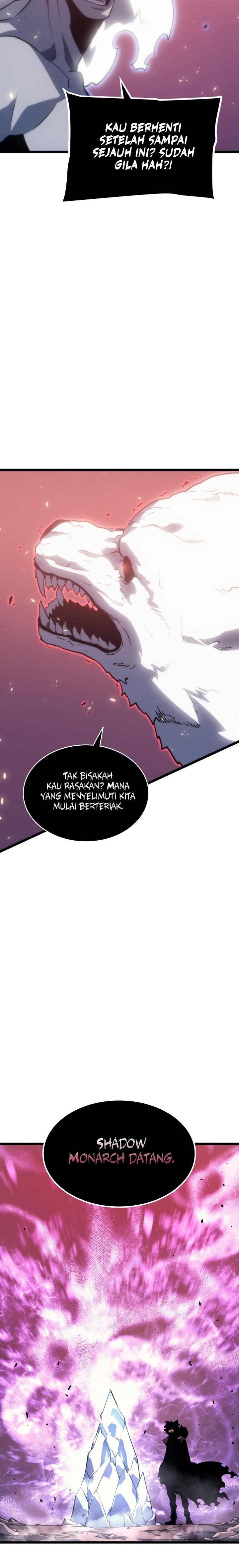 Solo Leveling Chapter 164 - halaman 19