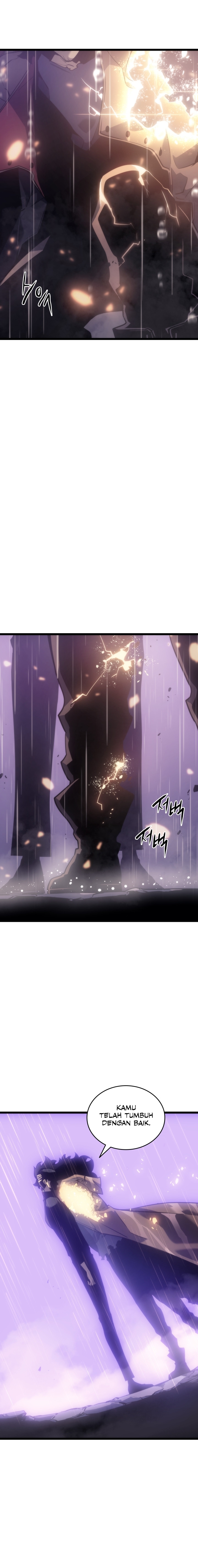Solo Leveling Chapter 166 - halaman 12
