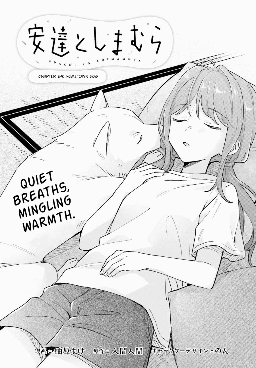 Adachi to Shimamura Chapter 36.1 - halaman 1