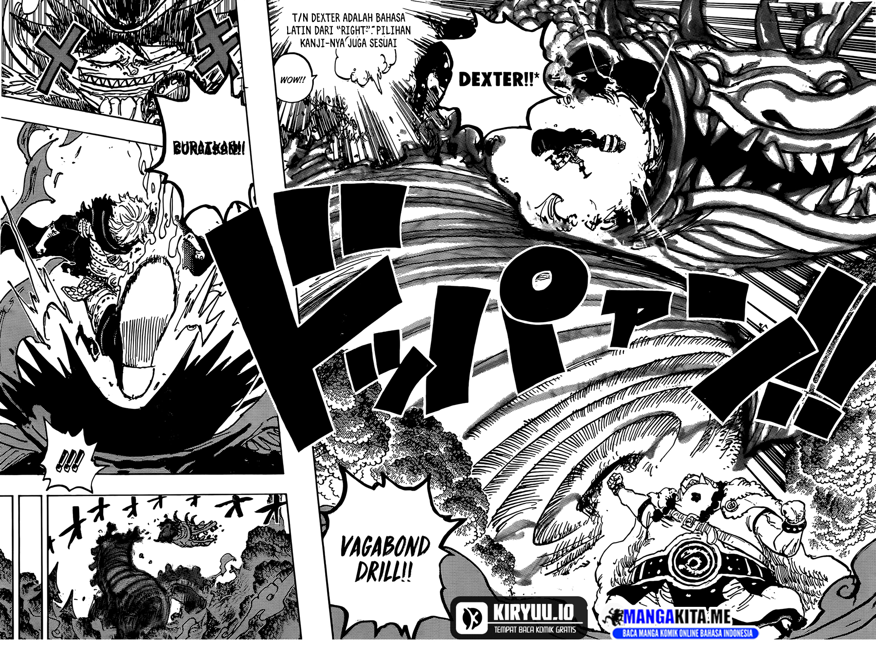 One Piece Chapter 1176 - halaman 13