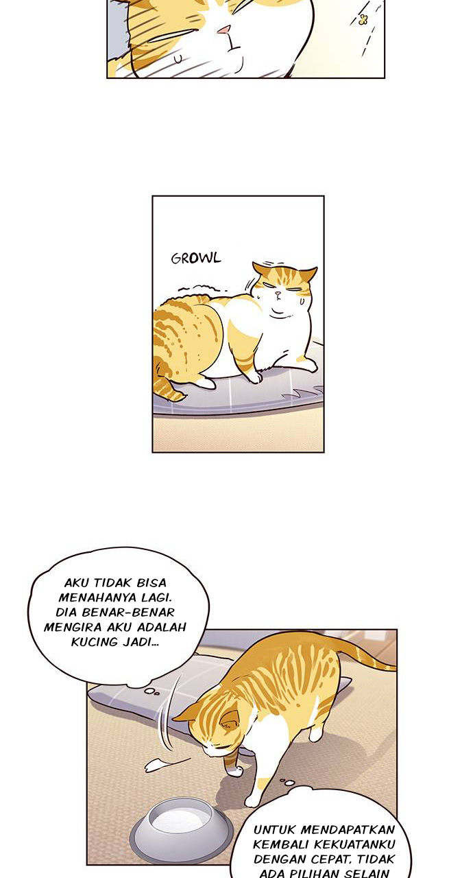 Eleceed Chapter 1 - halaman 52
