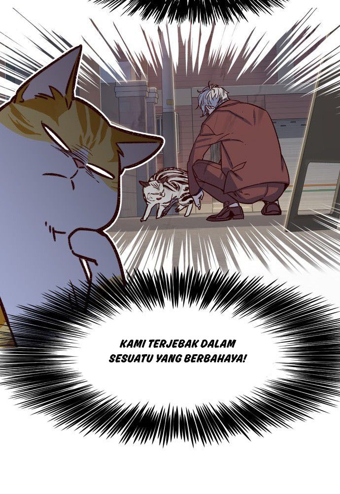 Eleceed Chapter 6 - halaman 13