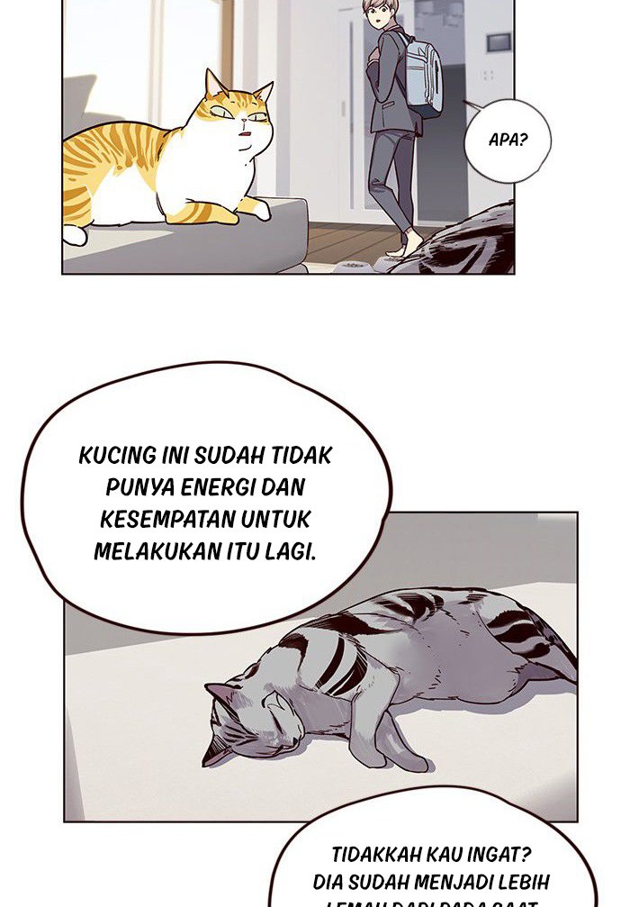 Eleceed Chapter 6 - halaman 41