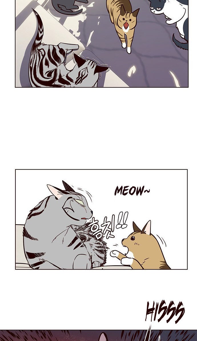 Eleceed Chapter 7 - halaman 53