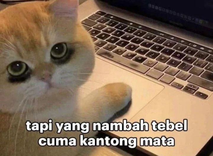 Return of the Runebound Professor Chapter 59 - halaman 43