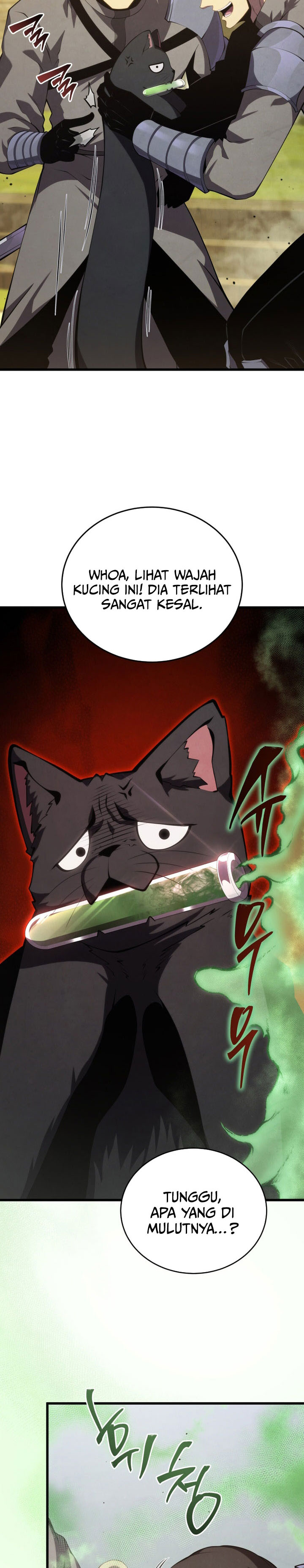 Swordmaster’s Youngest Son Chapter 166 - halaman 12