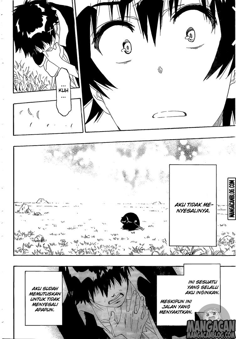 Nisekoi Chapter 226 - halaman 16