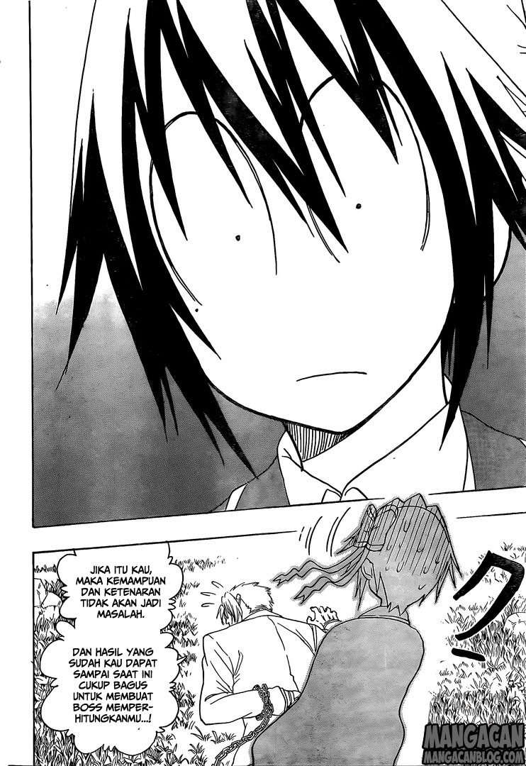 Nisekoi Chapter 223 - halaman 4
