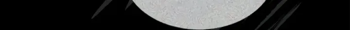 Tower of God Chapter 641 - halaman 24