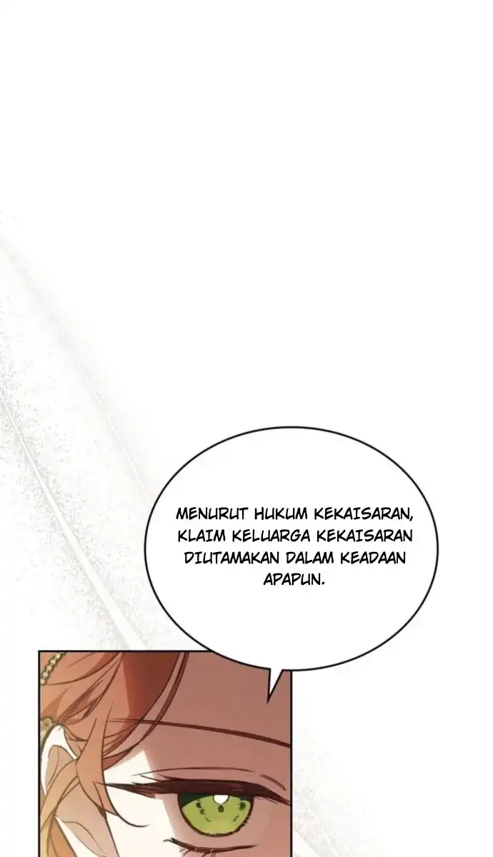 I Shall Master This Family! Chapter 231 - halaman 12